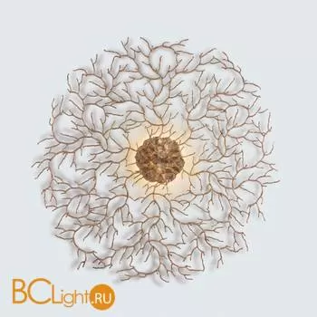 Настенно-потолочный светильник Serip Coral AP1485 CO