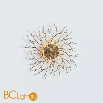 Настенно-потолочный светильник Serip Coral AP1488 FO