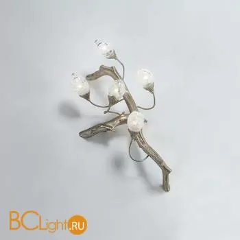 Настенный светильник Serip Lotus AP1474/5/R FO_PB