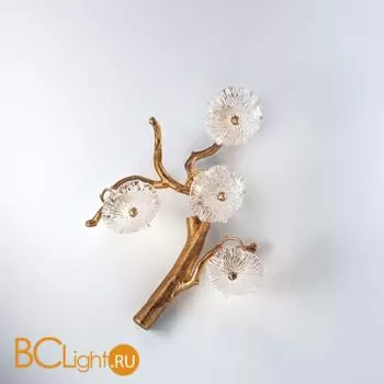 Настенный светильник Serip Nenufar AP1475/4 CO NF10