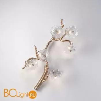 Настенный светильник Serip Nenufar AP1475/6 FO_PB NF10