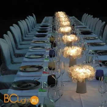 Настольный светильник Slamp Clizia TABLE FUME BATTERY CLI78TAVB0C1F_000 - Фото 3