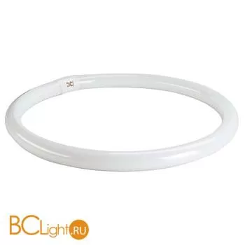 Лампа SLV G10q 40W 230V 3200 lm 3000K 548210