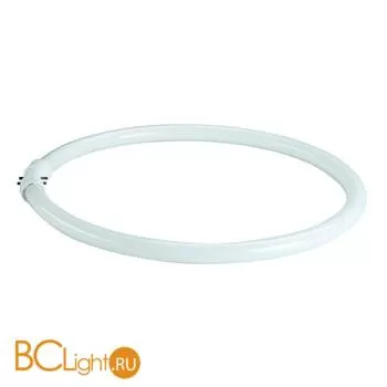 Лампа SLV 2GX13 40W 230V 3300 lm 4000K 548241