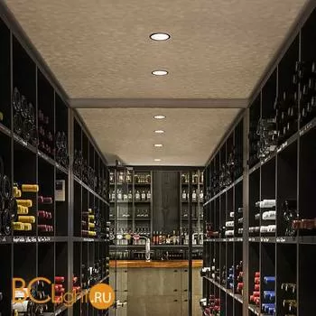 Встраиваемый спот (точечный светильник) SLV Horn 112910 - Фото 1