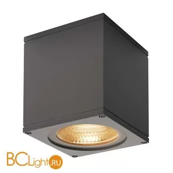 Уличный потолочный светильник SLV Theo 234535