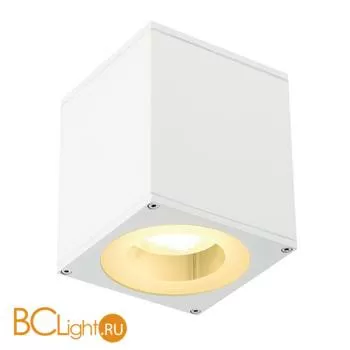 Спот (точечный светильник) SLV Theo 229541