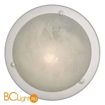 Потолочный светильник Sonex Alabastro 120