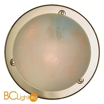 Потолочный светильник Sonex Alabastro 121