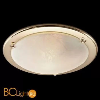 Потолочный светильник Sonex Alabastro 221