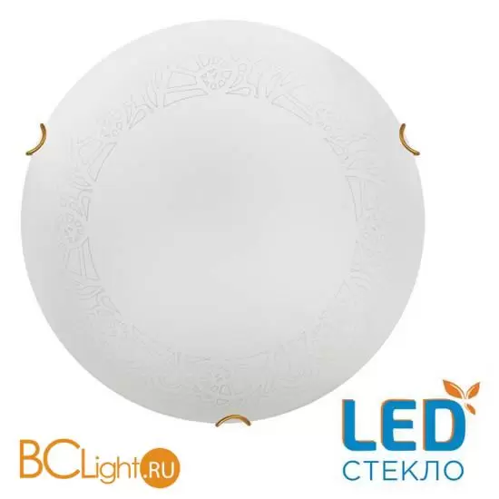 Потолочный светильник Sonex AMMONITE 7602/DL