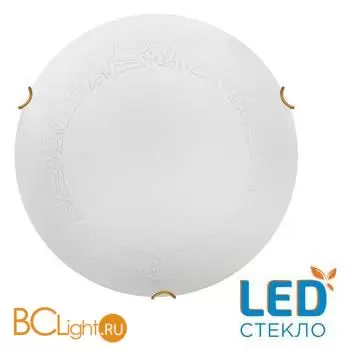 Потолочный светильник Sonex AMMONITE 7602/DL