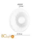 Потолочный светильник Sonex ANIX 7678/FL - Фото 0