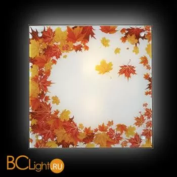 Потолочный светильник Sonex Autunno 2254