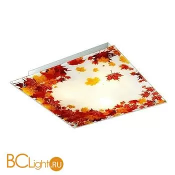 Потолочный светильник Sonex Autunno 3254