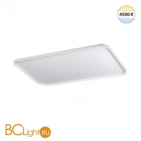 Потолочный светильник Sonex BETA 7751/130L