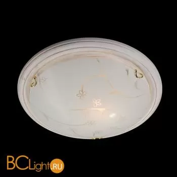 Потолочный светильник Sonex Blanketa 202