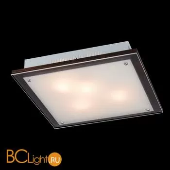 Потолочный светильник Sonex Ferola 4242V