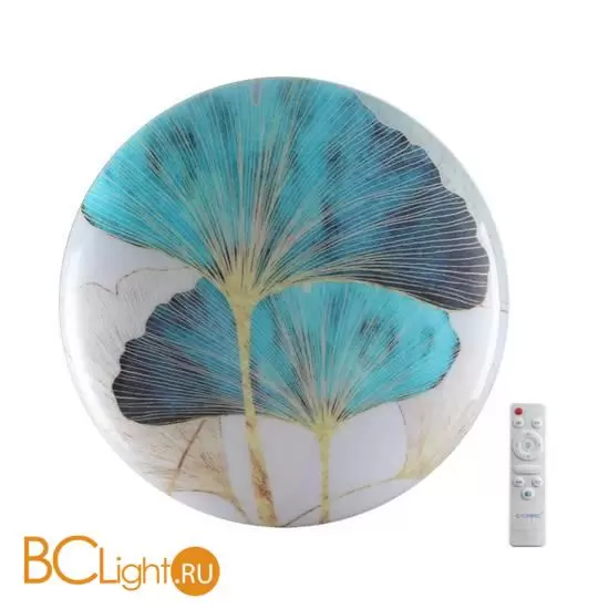 Потолочный светильник Sonex FLOREN 7747/DL