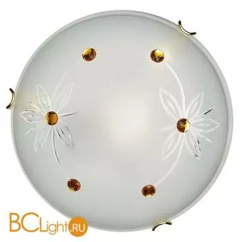 Потолочный светильник Sonex Floret 249