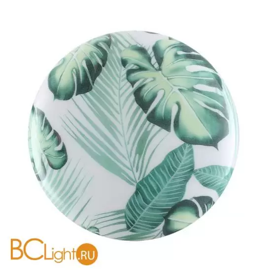 Потолочный светильник Sonex FLORI 7748/CL