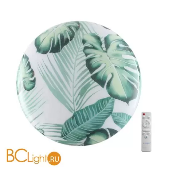 Потолочный светильник Sonex FLORI 7748/DL