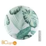 Потолочный светильник Sonex FLORI 7748/DL