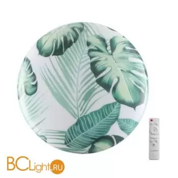 Потолочный светильник Sonex FLORI 7748/EL