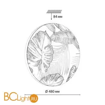 Потолочный светильник Sonex FLORI 7748/EL - Фото 1