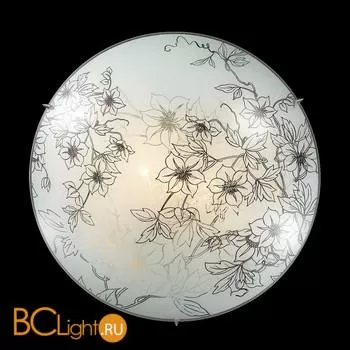 Потолочный светильник Sonex Forti 2211