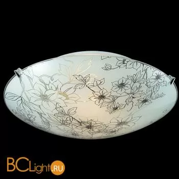 Потолочный светильник Sonex Forti 3211