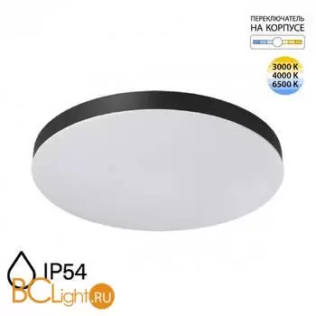 Потолочный светильник Sonex GAMMA 7760/50L