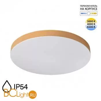 Потолочный светильник Sonex GAMMA 7761/50L