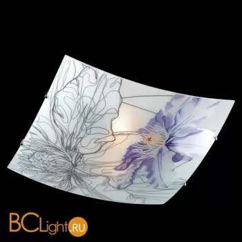 Потолочный светильник Sonex Iris 2230