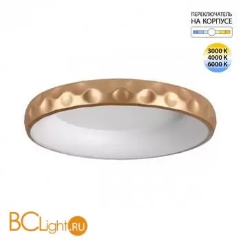 Потолочный светильник Sonex LACUNA 7771/56L