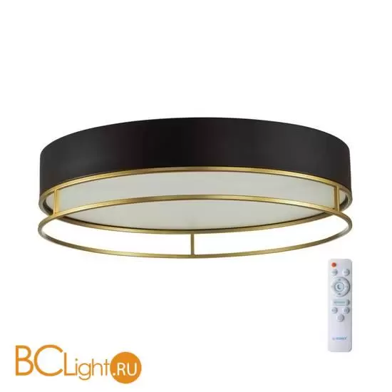 Потолочный светильник Sonex LOFTY 7723/65L