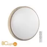 Потолочный светильник Sonex LOSTA 7607/EL