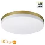 Потолочный светильник Sonex OPAL 359734