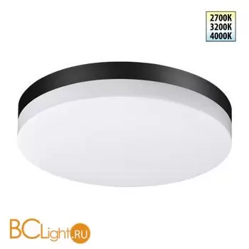 Потолочный светильник Sonex OPAL 359730
