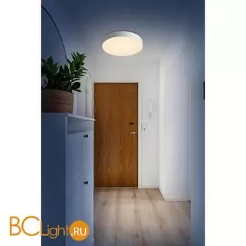 Потолочный светильник Sonex OPTIMA 7779/ELN - Фото 0