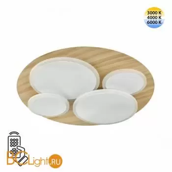 Потолочный светильник Sonex PINE 7734/60L