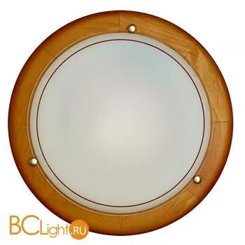 Потолочный светильник Sonex Riga 126