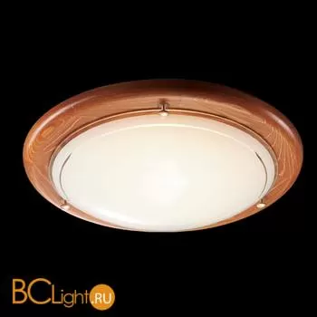 Потолочный светильник Sonex Riga 226