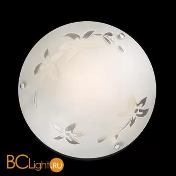 Потолочный светильник Sonex Romana 2214