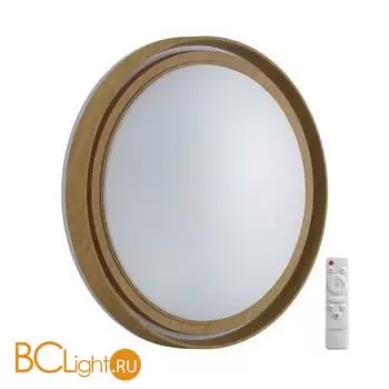 Потолочный светильник Sonex RUX WOOD 7640/EL