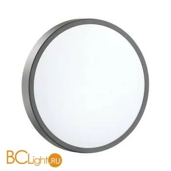 Потолочный светильник Sonex Smalli 3012/AL