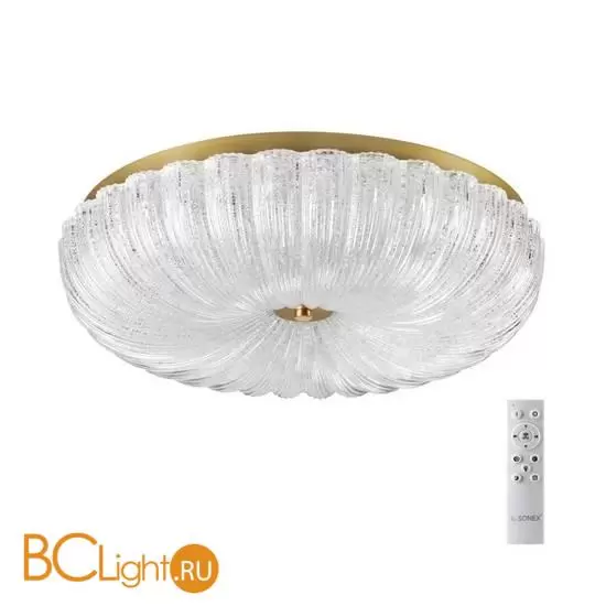 Потолочный светильник Sonex TESORO 7719/60L