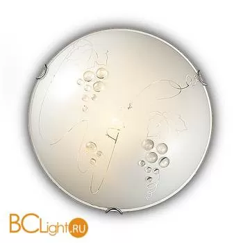 Потолочный светильник Sonex Traube 104/CL