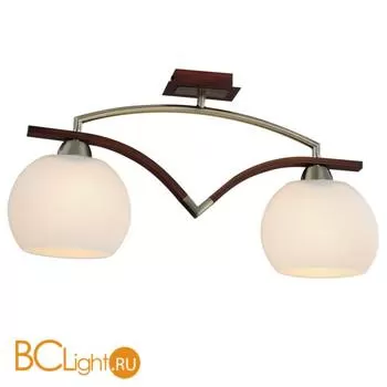 Потолочный светильник ST Luce SL196.302.02