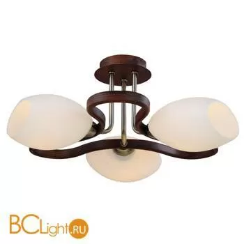 Потолочная люстра ST Luce SL196.302.03